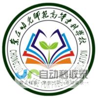 崇左的网站建设服务