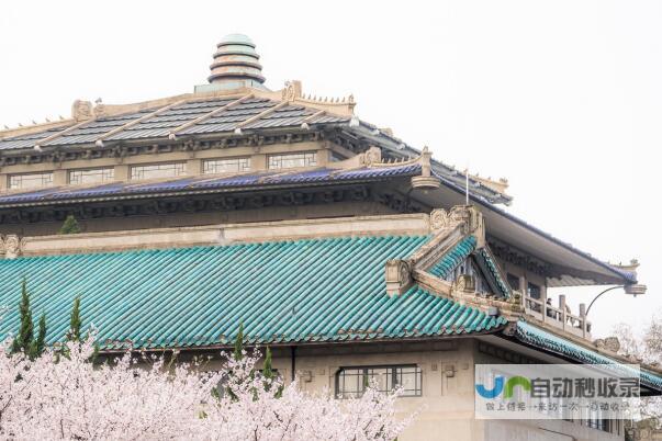 武汉专业网站建设，定制化解决方案，提升品牌形象，引爆客户增长