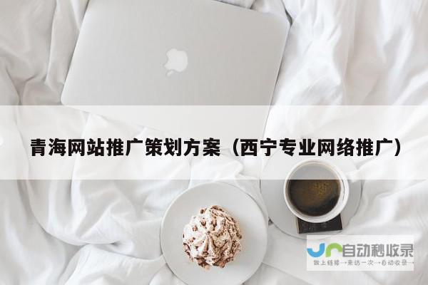 西宁网站推广：打造区域品牌，提升企业竞争力